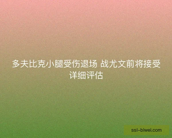 多夫比克小腿受伤退场 战尤文前将接受详细评估
